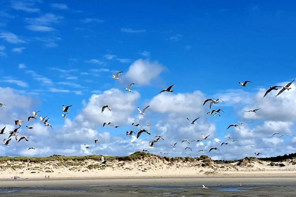 La Cabane Des Dunes A Fort-Mahon Plage Kültér fotó
